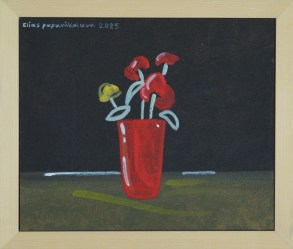 11294 - Παπανικολάου Ηλίας